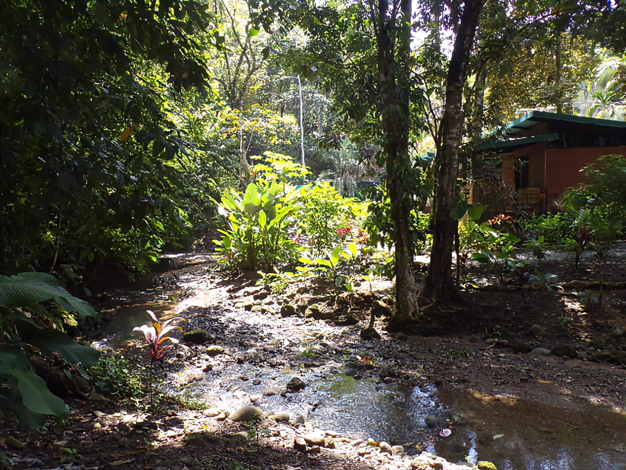 Riverside Villas Manuel Antonio Kültér fotó