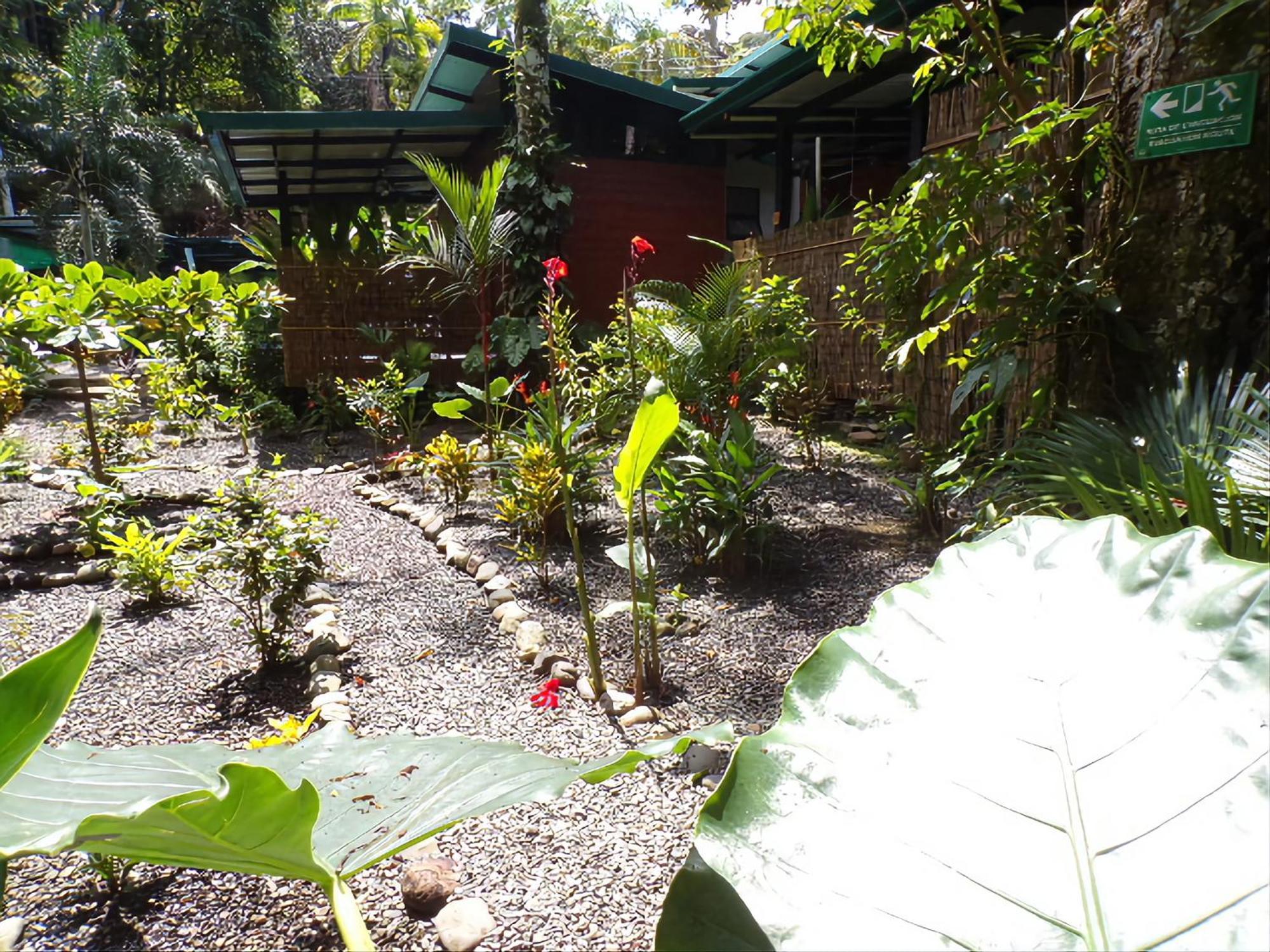 Riverside Villas Manuel Antonio Kültér fotó