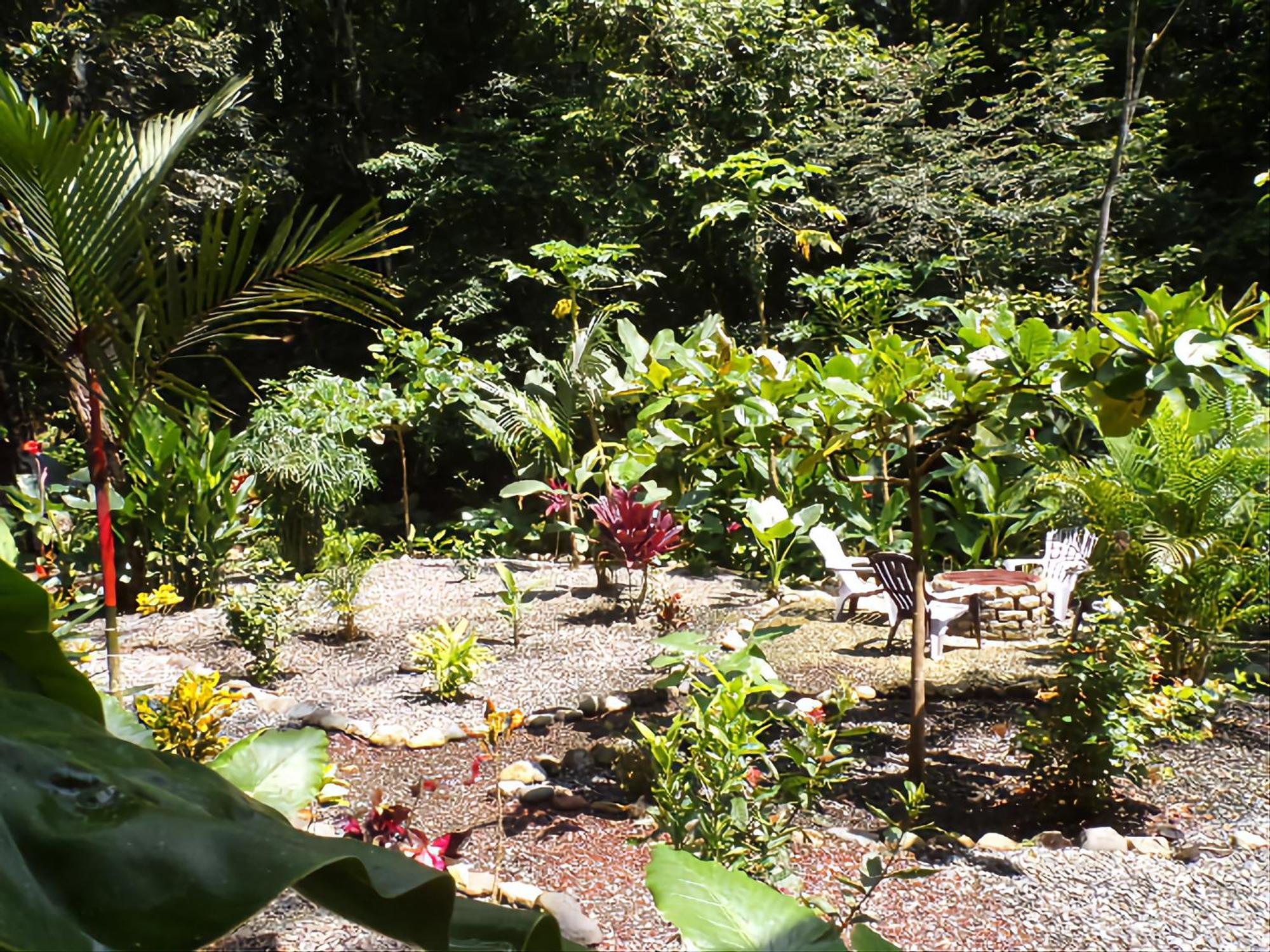 Riverside Villas Manuel Antonio Kültér fotó